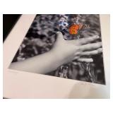 Butterfly Themed Home Decor Collection