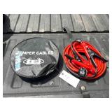 FUTURE Battery Cables (FT-DPX25)