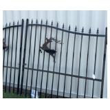 FUTURE 14 Foot Bi-Parting Wrought Iron Gate (FT-14BL)