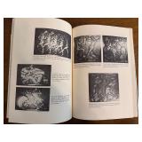 Set of 3 Art Deco Books: A Guide to Style, Art Deco by Dan Klein, A Guide for Collectors