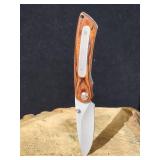 Locking Blade Pocket Knife