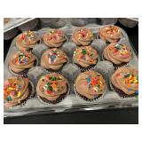 Assortment of Chocolate Mini Cupcakes with Rainbow Sprinkles