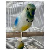 Collection of 3 Bird Cages