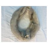 Vintage Mid Length Mink Fur Coat by Donaldson