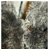 Vintage 3 Clasp Fur Cape