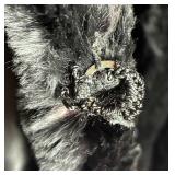 Vintage 3 Clasp Fur Cape