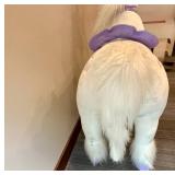 Medallion My Pony Ride On Real Walking Unicorn Toy