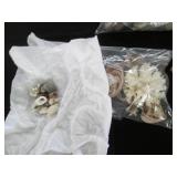 Huge variety lot of seashells...