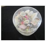 Huge variety lot of seashells...