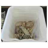 Huge variety lot of seashells...