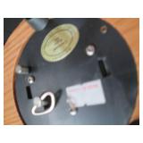 Healthy Variety of carousel horse n...