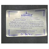 Framed Art Print of Conservatory Floral Garden Scene with TruGuard UV Glass