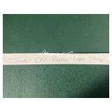 Colorful Chili Pepper String Lights