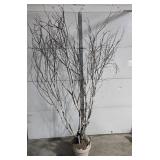 Decorative Natural Birch Branch Arrangement with Integrated Lights