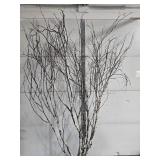 Decorative Natural Birch Branch Arrangement with Integrated Lights