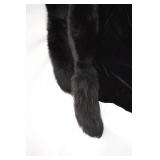Black Fur Stole