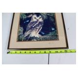 Framed Owl Photograph Signed by K. Hillberry
