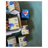 Collection of Various Floodlight and Standard Light Bulbs