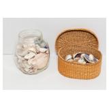 Collection of Seashells