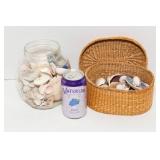 Collection of Seashells