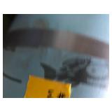 Lily Pad Floating Pad #3