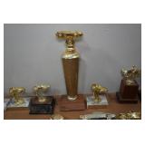Assorted Trophies