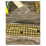 Large Lot of 22 Shells and a 10 Shot 22 Magazine