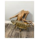 Small Mouth Bass Wall Hanging Fish Mount on a Piece of Drift Wood