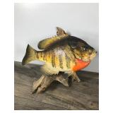 3 - Sunfish Wall Hanging Fish Mounts