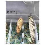 Lot of 7 Collectible Custom Made Fishing Lures with Artists Signature on the Bottom