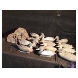 12 plastic duck decoys and blind netting
