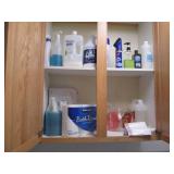 Contents of cupboard, cleaning supplies