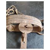 5 Animal Traps oneida