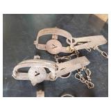 5 Animal Traps oneida