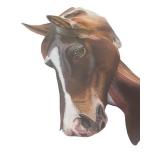 Framed Original Artwork of Horse Portrait