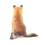 Original Fox Artwork