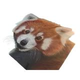 Original Artwork of Red Panda Portrait