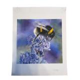 Original Artwork: Bumblebee on Lavender