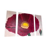 3-Piece Red Poppy Flower Canvas Wall Art Set