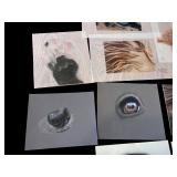 Collection of 10 Animal-Themed Art Prints and Drawings - Original Artwork