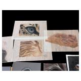 Collection of 10 Animal-Themed Art Prints and Drawings - Original Artwork