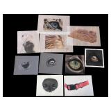 Collection of 10 Animal-Themed Art Prints and Drawings - Original Artwork