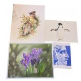 Collection of 4 Original Colored Pencil and Graphite Artworks