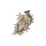 Collection of 4 Original Colored Pencil and Graphite Artworks