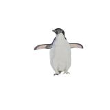 Collection of 4 Original Colored Pencil and Graphite Artworks