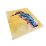 Kingfisher Bird Original Colored Pencil Artwork