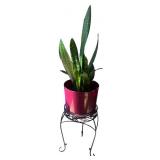 Snake Plant in Red Pot with Decorative Metal Stand