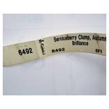 Serviceberry Clump, Autumn Brilliance 6