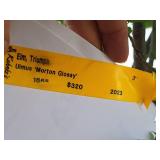 Elm, Triumph Ulmus Morton Glossy 3" caliper, Ball & Burlap SKU#1665