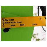 Elm, Triumph Ulmus Morton Glossy 3" caliper, Ball & Burlap SKU#1665